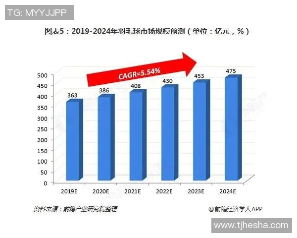 杭州羽毛球队力量表现数据分析与训练策略探讨