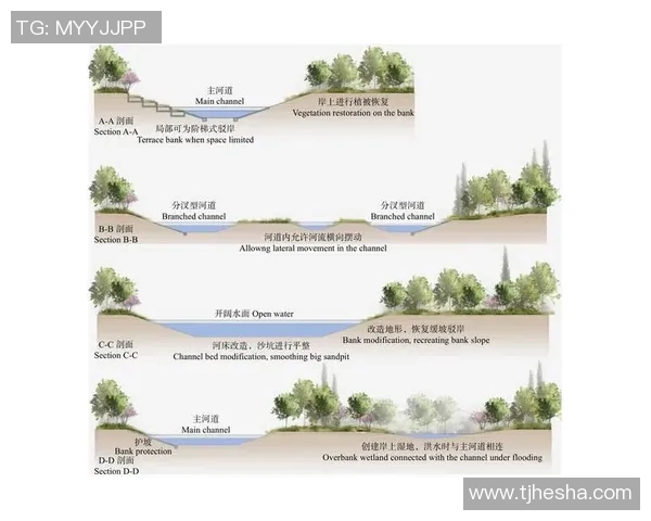 北京排球队包夹策略的成效分析与未来展望