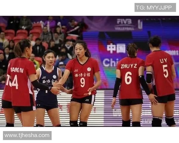 上海排球队的战术解析与控制能力深度剖析