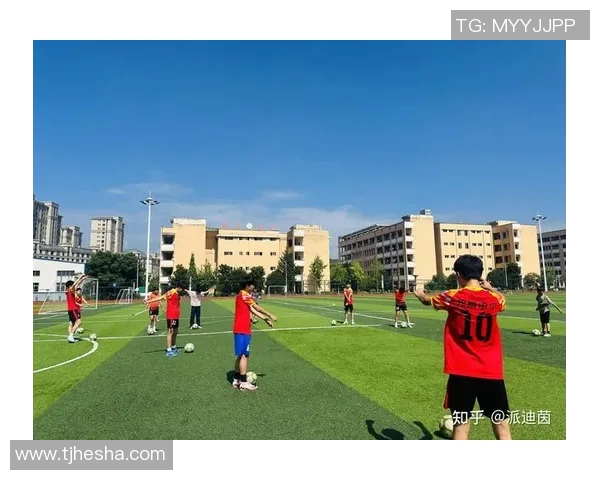 南京足球队的团队协作揭秘：如何在绿茵场上实现完美配合与默契合作