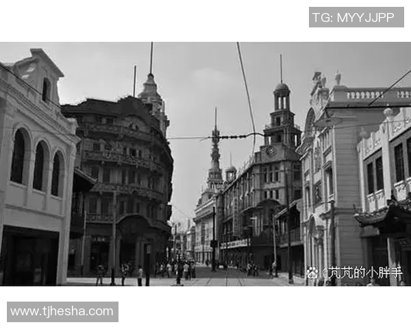 上海排球队的辉煌历程与突破之路全景纪实