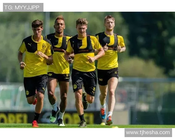 南京足球队的耐力探讨与发展之路:从训练到比赛的全方位分析 南京足球队的耐力探讨与发展之路:从训练到比赛的全方位分析