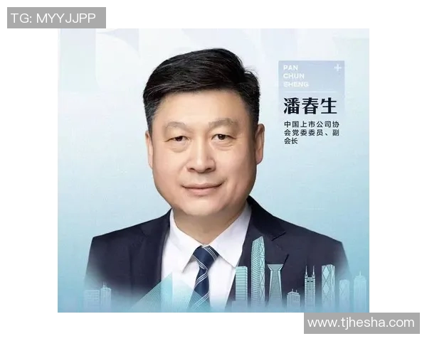 杭州排球队阵地战革新探索与实践的深度分析与展望