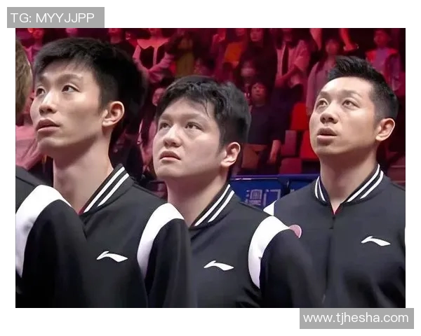 乒乓球专题：深入探讨上海乒乓球队如何实现高效团队协作与默契配合