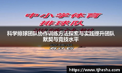 科学排球团队协作训练方法探索与实践提升团队默契与竞技水平