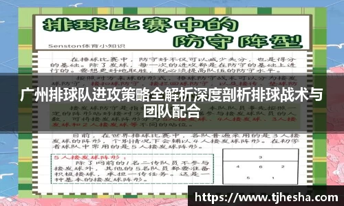 优游国际