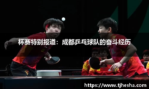 杯赛特别报道：成都乒乓球队的奋斗经历