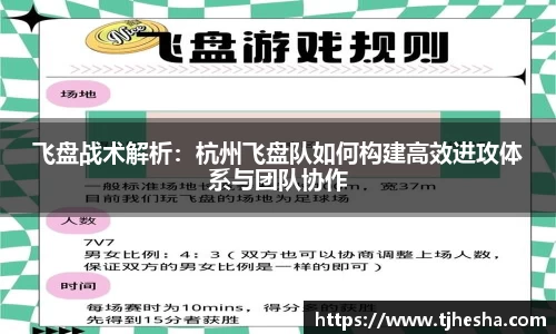 飞盘战术解析：杭州飞盘队如何构建高效进攻体系与团队协作
